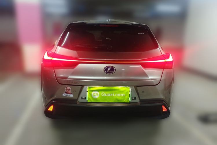 Used Lexus UX New Energy 2020 300e Pure·Joy Edition Rear