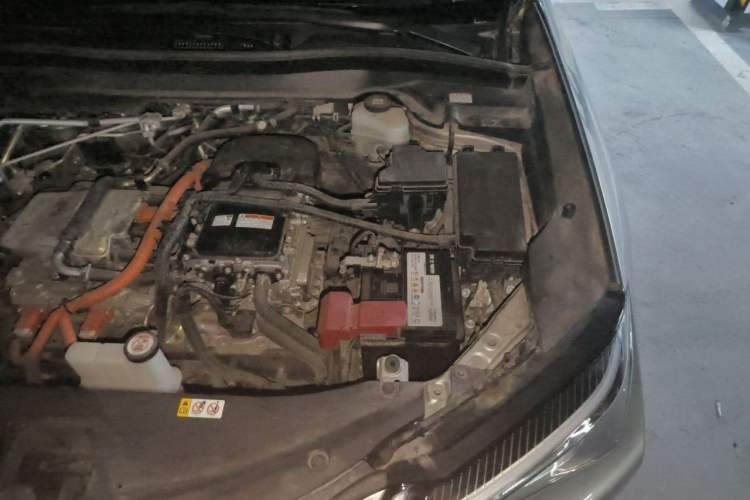 Used Lexus UX New Energy 2020 300e Pure·Joy Edition Engine Bay Left