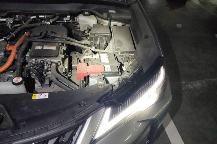 Used Lexus UX New Energy 2020 300e Pure·Joy Edition Engine Bay Left