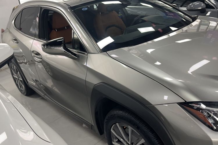 Used Lexus UX New Energy 2020 300e Pure·Joy Edition Exterior 1