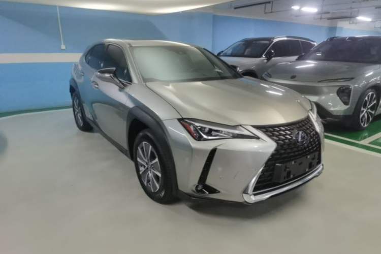 Used Lexus UX New Energy 2020 300e Pure·Enjoy Edition Exterior 1