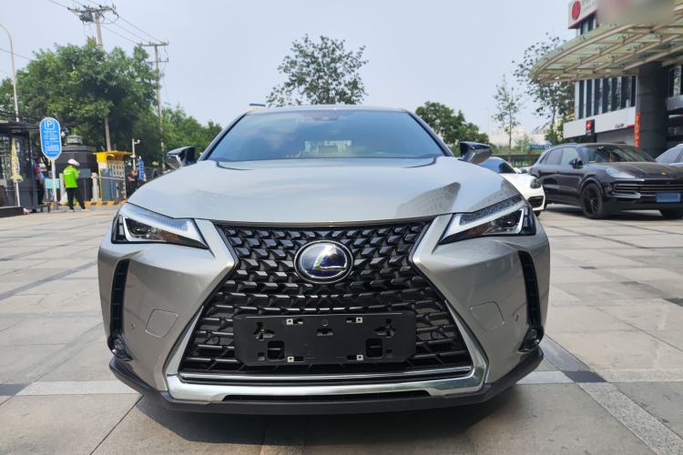 Used Lexus UX New Energy 2020 300e Pure·Joy Edition Exterior 1