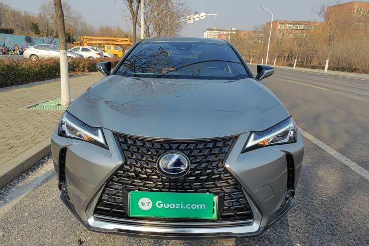 Used Lexus UX New Energy 2020 300e Pure·Joy Edition Exterior 1