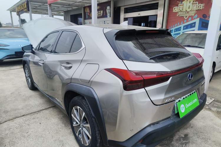 Used Lexus UX New Energy 2020 300e Pure·Joy Edition Exterior 2