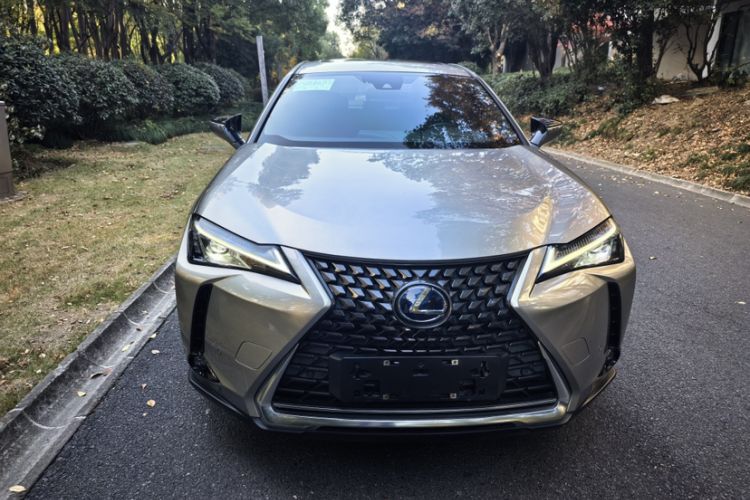 Used Lexus UX New Energy 2020 300e Pure·Joy Edition Exterior 2