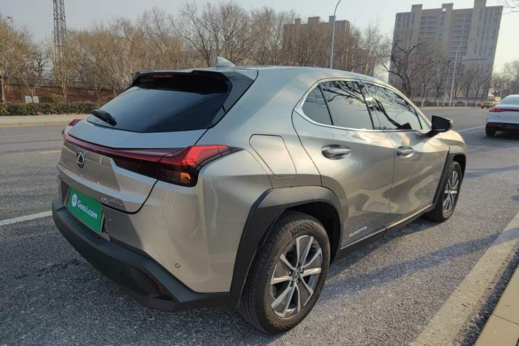 Used Lexus UX New Energy 2020 300e Pure·Joy Edition Exterior 3