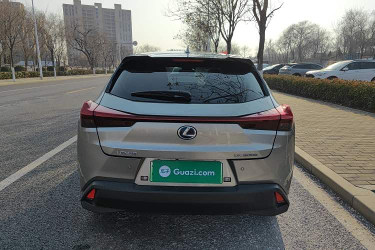 Used Lexus UX New Energy 2020 300e Pure·Joy Edition Exterior 4