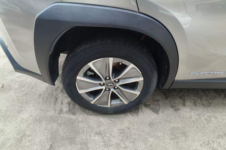 Used Lexus UX New Energy 2020 300e Pure·Joy Edition Exterior 5