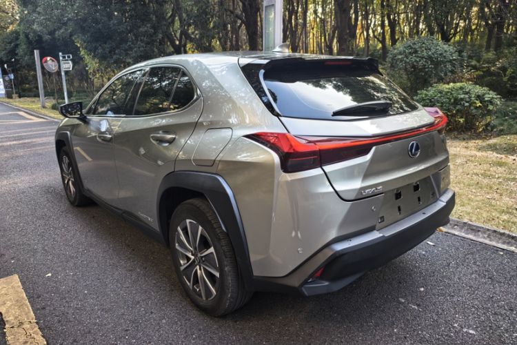 Used Lexus UX New Energy 2020 300e Pure·Joy Edition Exterior 5