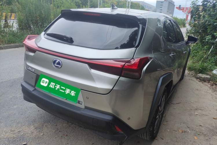 Used Lexus UX New Energy 2020 300e Pure·Joy Edition Exterior 5