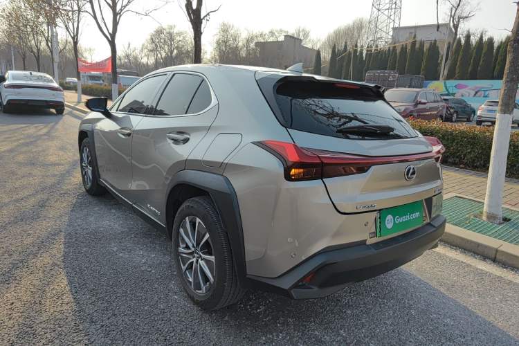 Used Lexus UX New Energy 2020 300e Pure·Joy Edition Exterior 5