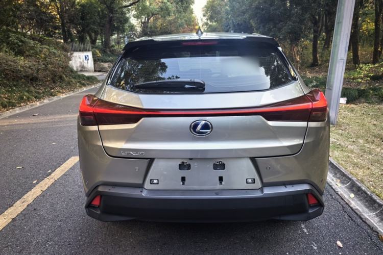 Used Lexus UX New Energy 2020 300e Pure·Joy Edition Exterior 6