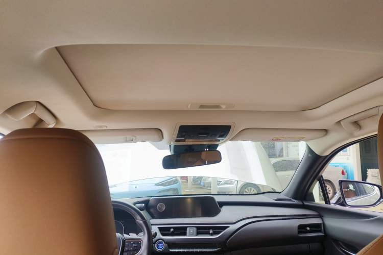 Used Lexus UX New Energy 2020 300e Pure·Joy Edition Headliner