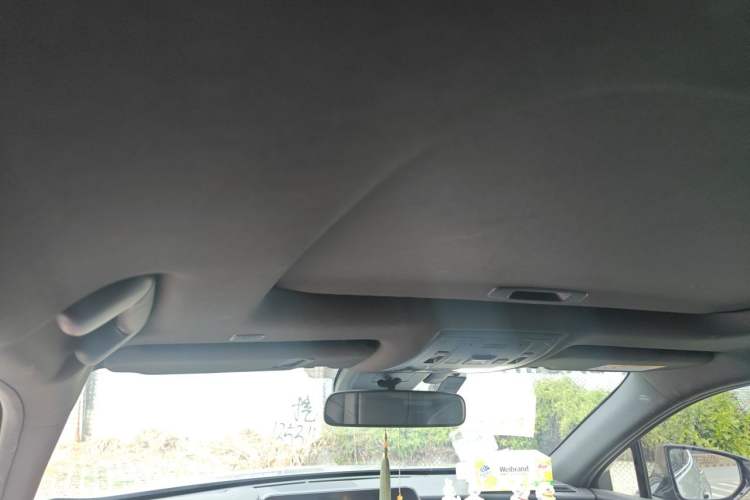 Used Lexus UX New Energy 2020 300e Pure·Joy Edition Headliner