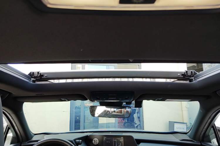 Used Lexus UX New Energy 2020 300e Pure·Enjoy Edition Headliner