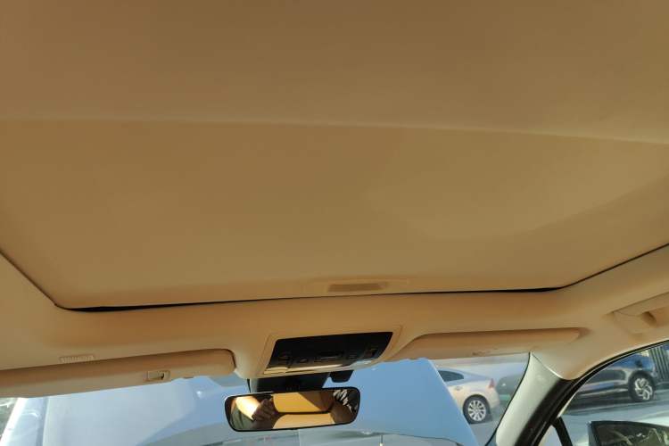 Used Lexus UX New Energy 2020 300e Pure·Enjoy Edition Headliner