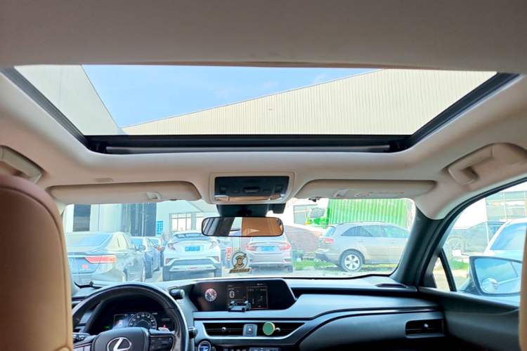 Used Lexus UX New Energy 2020 300e Pure·Joy Edition Headliner