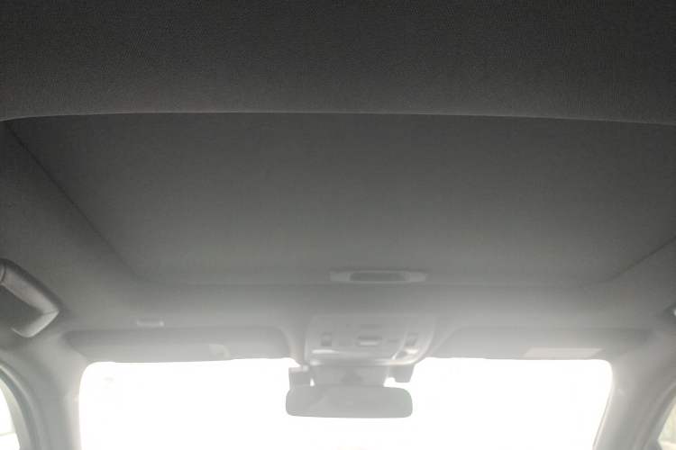 Used Lexus UX New Energy 2020 300e Pure·Joy Edition Headliner