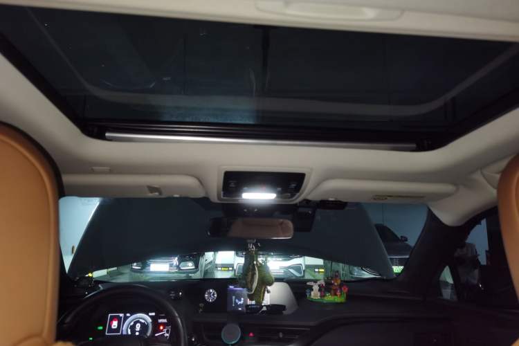 Used Lexus UX New Energy 2020 300e Pure·Joy Edition Headliner