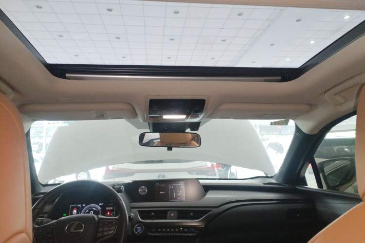 Used Lexus UX New Energy 2020 300e Pure·Joy Edition Headliner