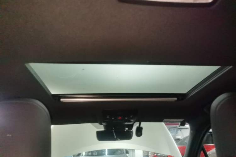 Used Lexus UX New Energy 2020 300e Pure·Enjoy Edition Headliner
