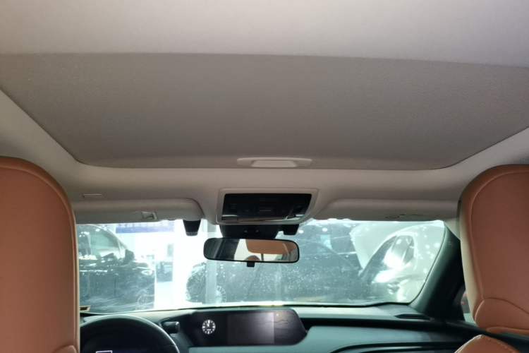 Used Lexus UX New Energy 2020 300e Pure·Joy Edition Headliner