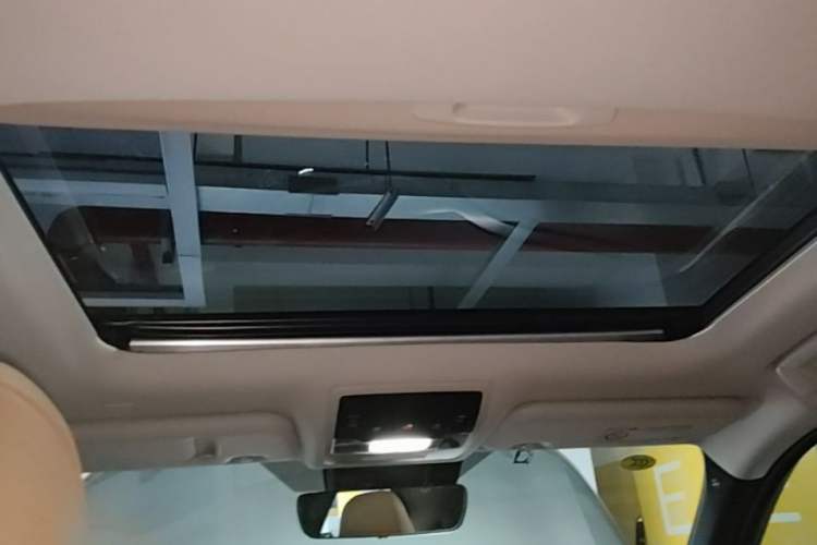 Used Lexus UX New Energy 2020 300e Pure·Enjoy Edition Headliner