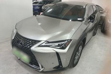 Used Lexus UX New Energy 2020 300e Pure·Joy Edition