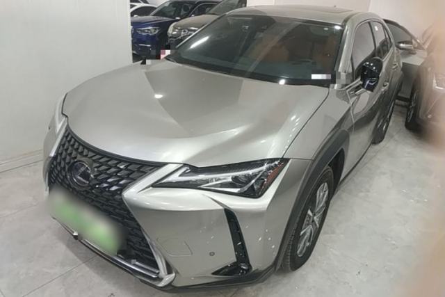 Used Lexus UX New Energy 2020 300e Pure·Joy Edition