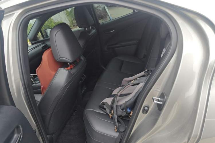 Used Lexus UX New Energy 2020 300e Pure·Joy Edition Left Rear Seat
