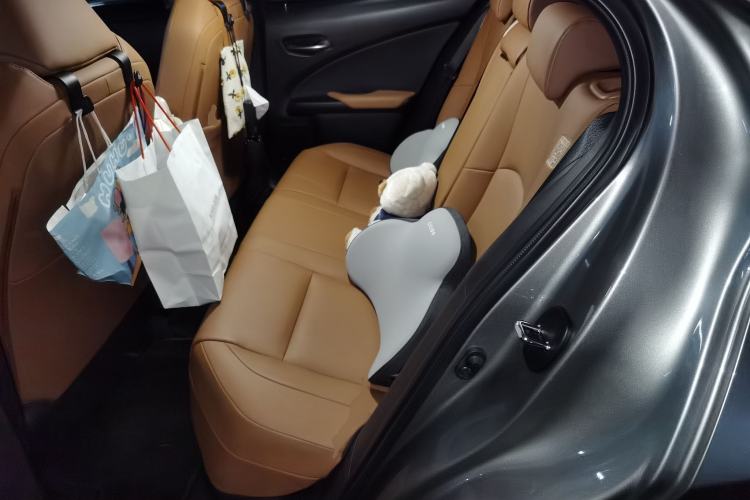 Used Lexus UX New Energy 2020 300e Pure·Joy Edition Left Rear Seat