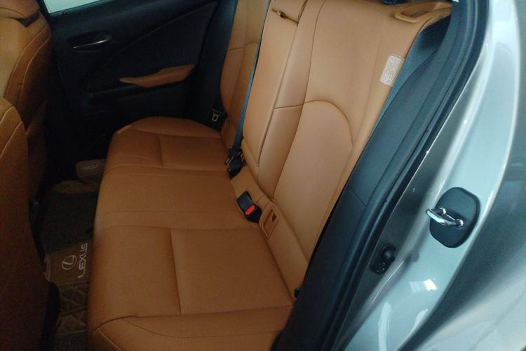Used Lexus UX New Energy 2020 300e Pure·Joy Edition Left Rear Seat