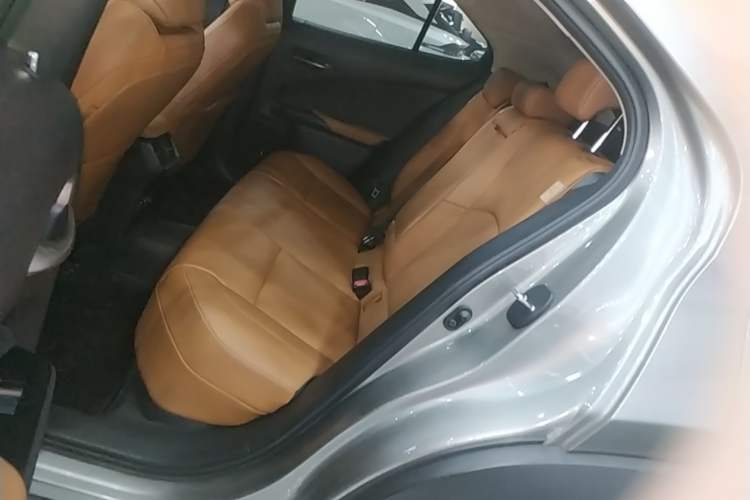 Used Lexus UX New Energy 2020 300e Pure·Joy Edition Left Rear Seat