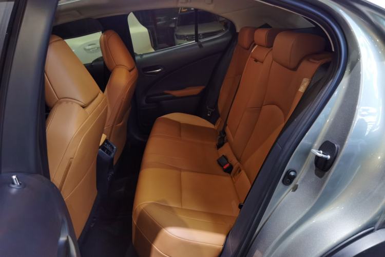 Used Lexus UX New Energy 2020 300e Pure·Joy Edition Left Rear Seat