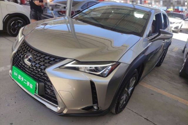 Used Lexus UX New Energy 2020 300e Pure·Joy Edition