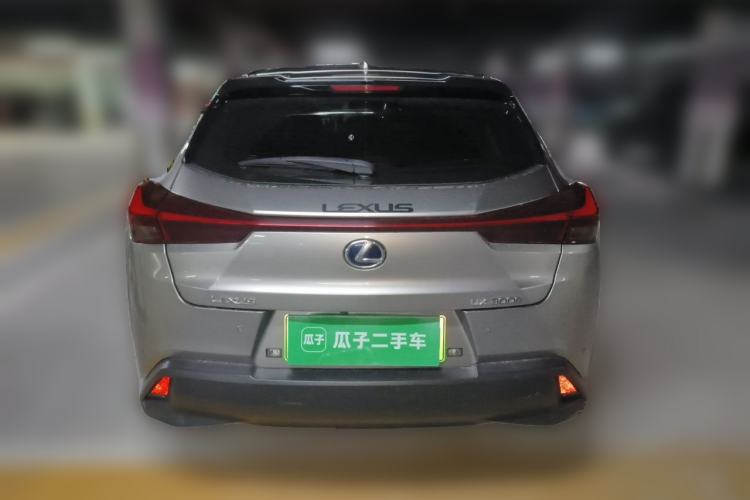 Used Lexus UX New Energy 2020 300e Pure·Joy Edition Rear
