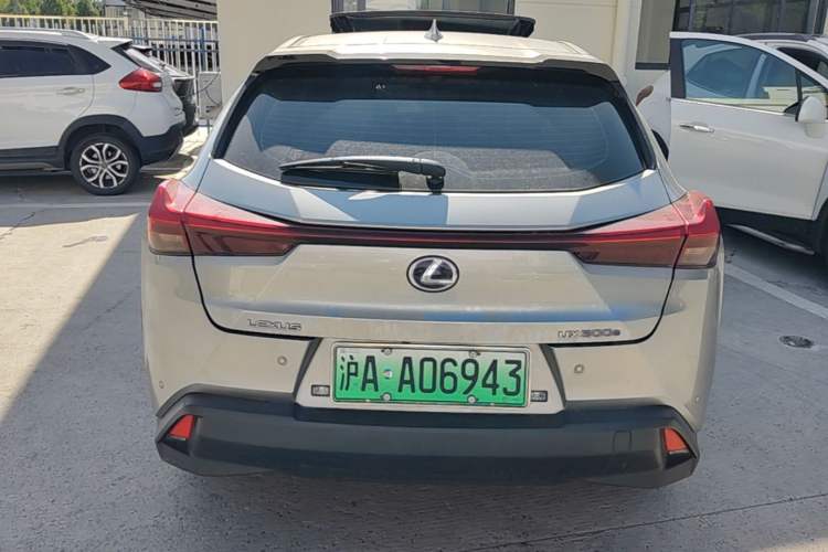 Used Lexus UX New Energy 2020 300e Pure·Enjoy Edition Rear