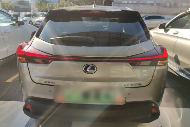 Used Lexus UX New Energy 2020 300e Pure·Enjoy Edition Rear