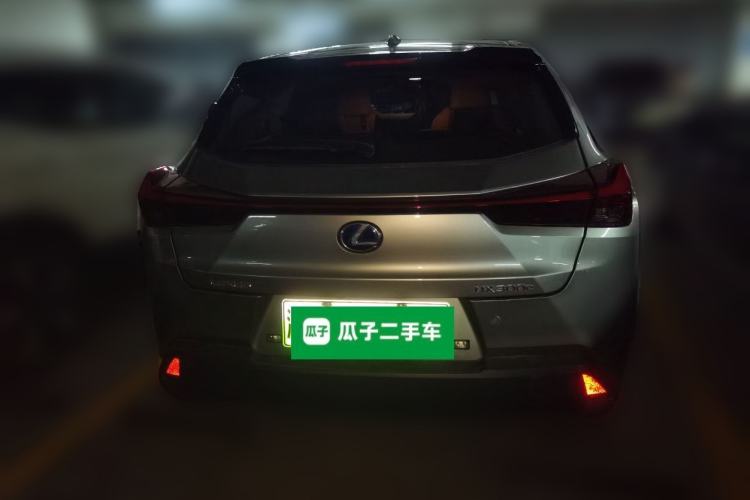 Used Lexus UX New Energy 2020 300e Pure·Joy Edition Rear
