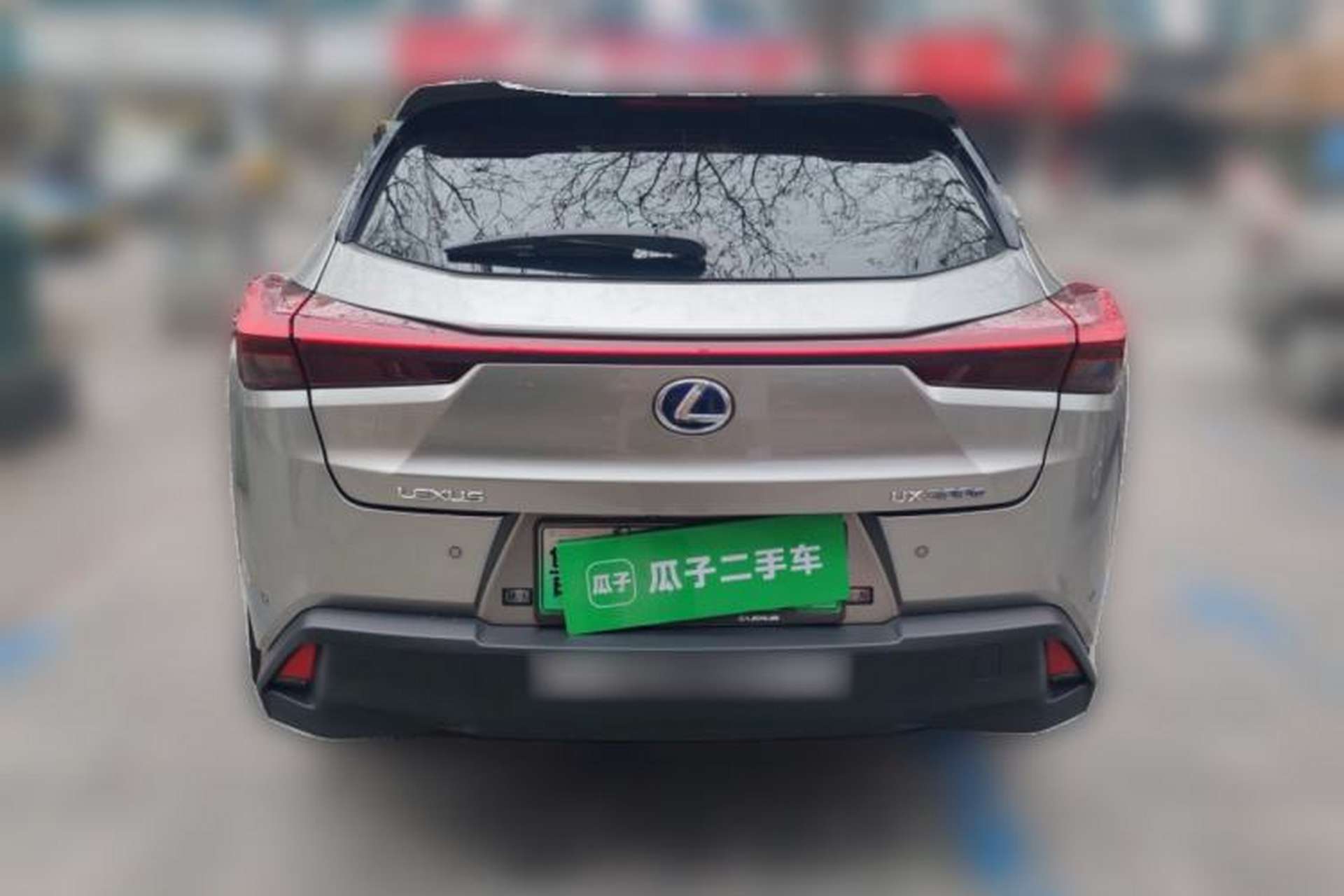 Used Lexus UX New Energy 2020 300e Pure·Joy Edition Rear