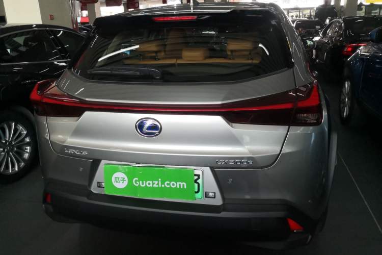 Used Lexus UX New Energy 2020 300e Pure·Joy Edition Rear