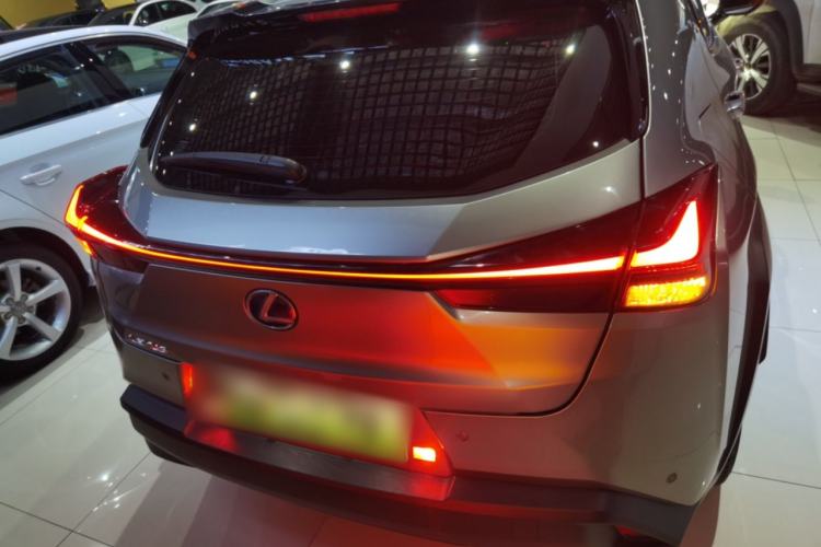 Used Lexus UX New Energy 2020 300e Pure·Joy Edition Rear
