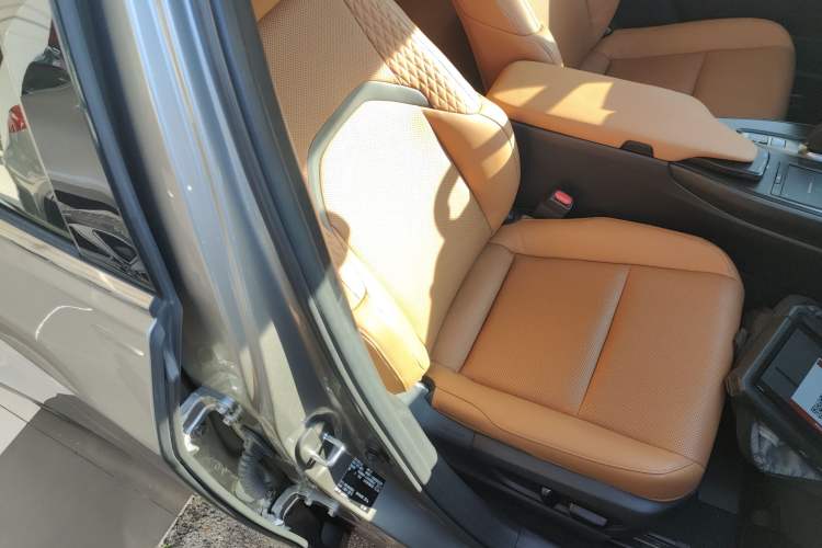 Used Lexus UX New Energy 2020 300e Pure·Enjoy Edition Right Front Seat