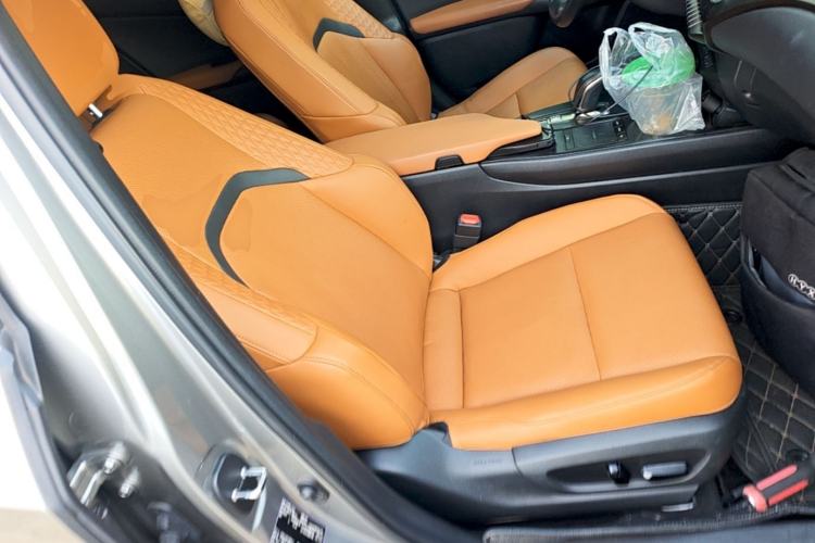 Used Lexus UX New Energy 2020 300e Pure·Joy Edition Right Front Seat