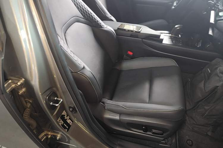 Used Lexus UX New Energy 2020 300e Pure·Joy Edition Right Front Seat