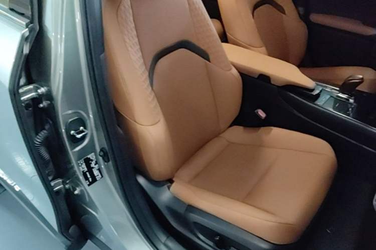 Used Lexus UX New Energy 2020 300e Pure·Enjoy Edition Right Front Seat