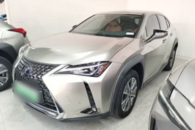 Used Lexus UX New Energy 2020 300e Pure·Joy Edition