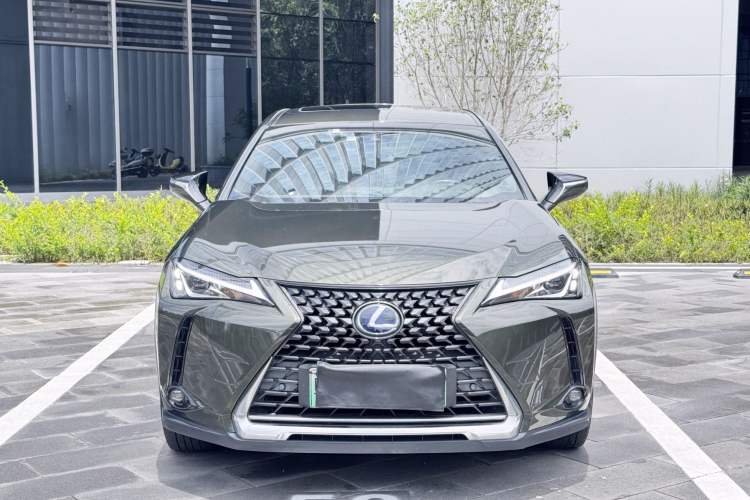 Used Lexus UX New Energy 2020 300e Pure·Joy Edition Exterior 1