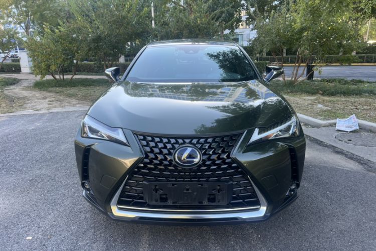 Used Lexus UX New Energy 2020 300e Pure·Joy Edition Exterior 1