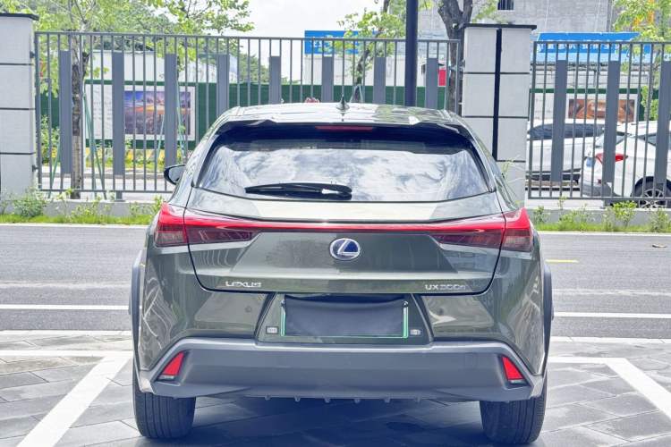 Used Lexus UX New Energy 2020 300e Pure·Joy Edition Exterior 4